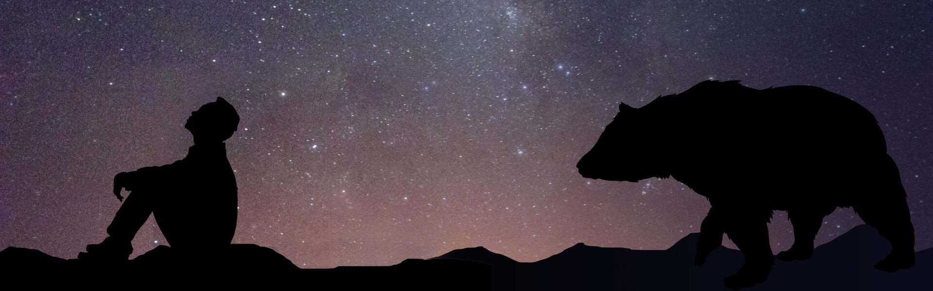 Boy being stalked by a bear at night